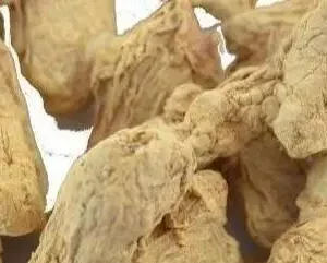 Ingwer getrocknet ganz 100gr.