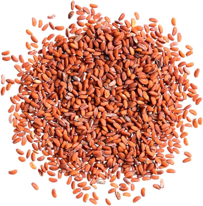 71VhqLXfMYL._AC_SX679_