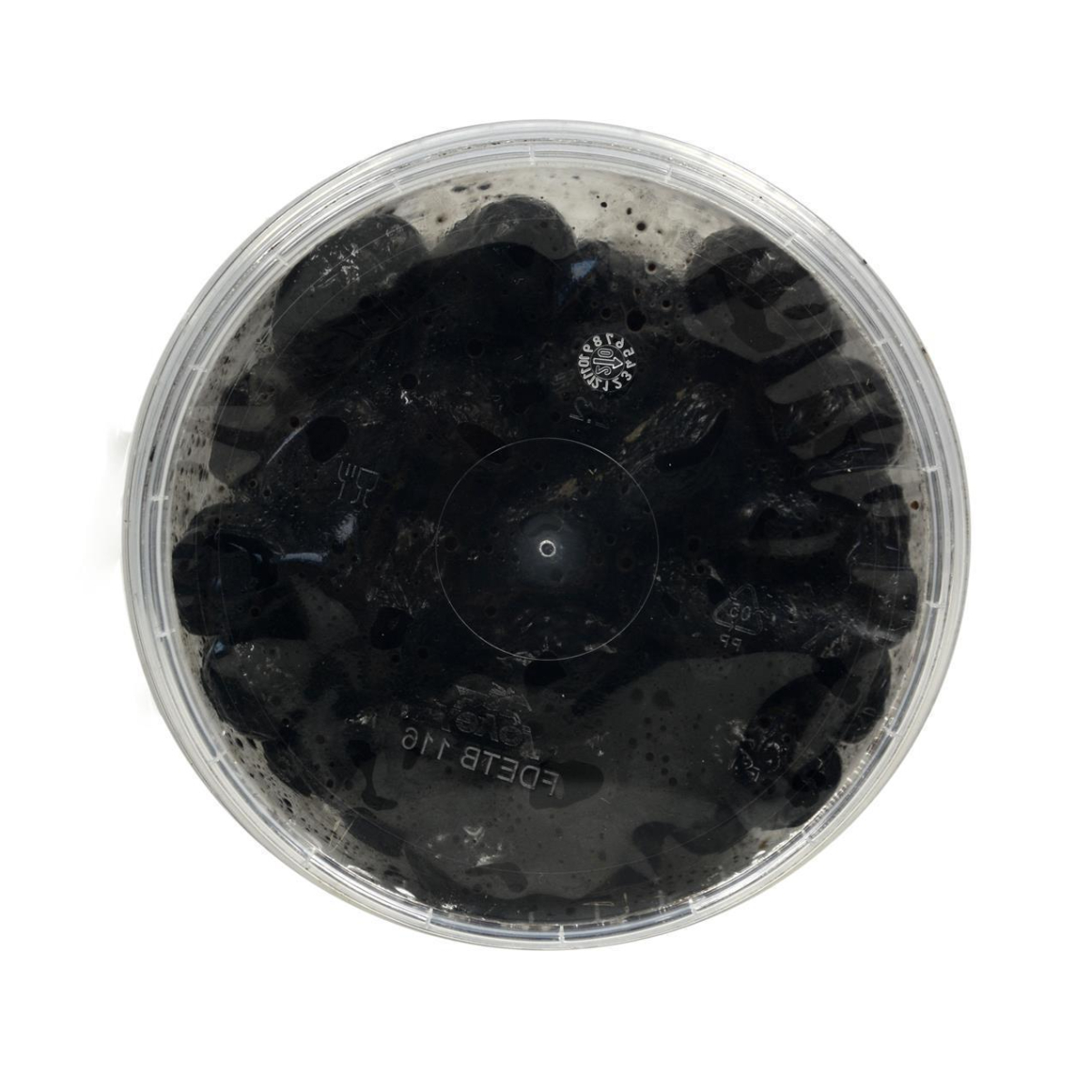 hymor-marokkanische-oliven-2x595g-schwarz-salzlake~2