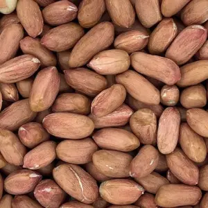 ERDÜSSE NATURELL MIT SCHALE 300GR.