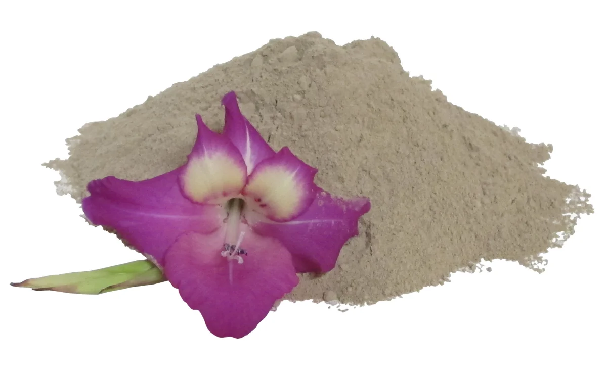 gratis-probe-ghassoul-rhassoul-wascherde-pulver-mineralische-ton-lavaerde-peeling-50-gramm